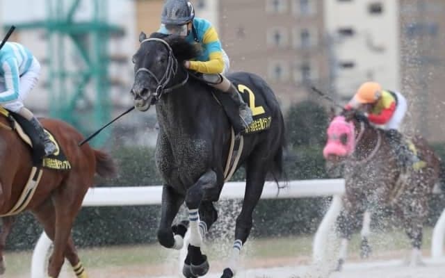 【マーキュリーC予想】実績上位のデルマルーヴルとマスターフェンサーの戦いに注目!!/NARレース展望