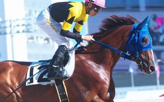 【門別競馬情報】函館2歳S 0秒8差で健闘のラジアントエンティに今後も注目！今夜メインは2連勝中ラステラデファルコが人気の中心「モーニン賞」/地方競馬情報