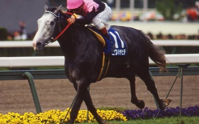 ビワハヤヒデが死亡、30歳　1993年菊花賞などGI・3勝、弟にナリタブライアン