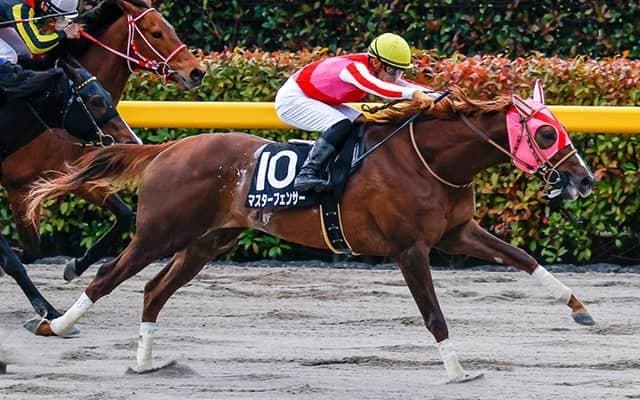 【マーキュリーC・馬体重】マスターフェンサーは503kg(+7)、ヒストリーメイカーは523kg(-3)