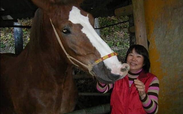 助けられない馬たちの救済を目指して…あしずりダディー牧場