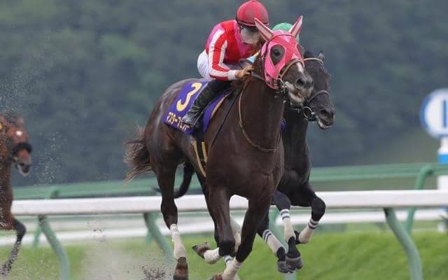 【盛岡・マーキュリーC全着順】1着マスターフェンサー、2着デルマルーヴル　3着には地元のランガディア