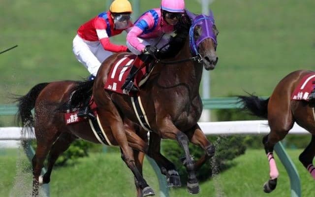 【YJS・TR暫定順位】東日本はJRA・地方競馬でそれぞれ原優介騎手、関本玲花騎手がトップ