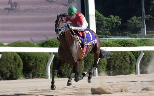【地方競馬】毎年の目標は霧島賞、松浦聡志調教師と九州産馬“キヨマサ”の挑戦