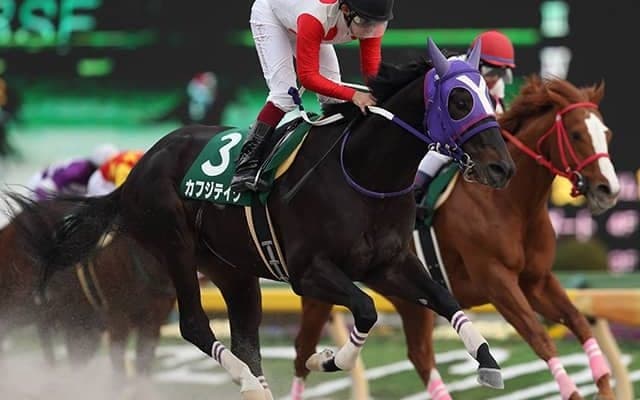 【JRA】カフジテイクが大井競馬へ移籍、2017年根岸S覇者