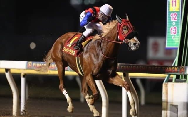 【園田・兵庫サマークイーン賞 枠順確定】DG覇者クレイジーアクセルは1枠1番、前走牡馬撃破アッキーは5枠6番