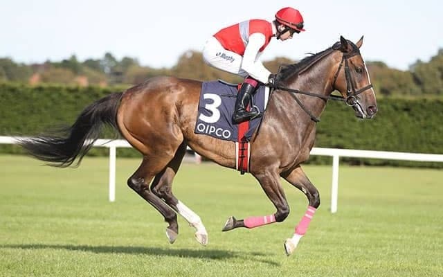 【英・ナッソーS展望】連覇を狙うディアドラ　強敵は仏オークス馬のディープ産駒/合田直弘コラム