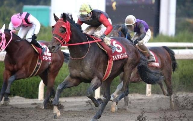 【名港盃予想】エイシンニシパ重賞11勝目へ/ NARレース展望