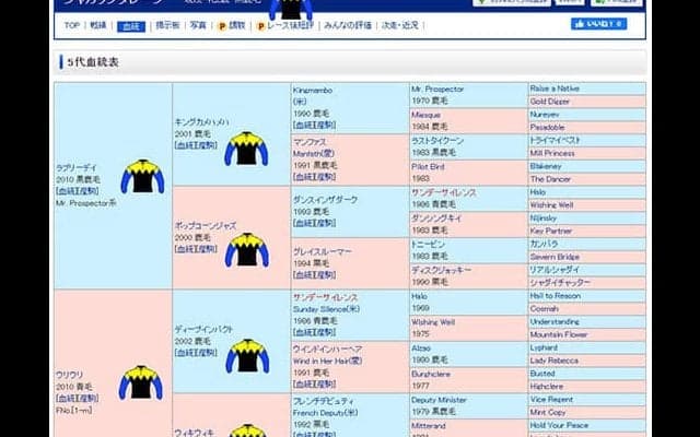 2代上まで全頭が金子真人オーナー所有　ラブリーデイ産駒ジャカランダレーンはダリア賞へ