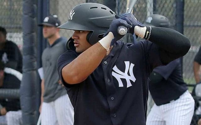 【MLB】17歳には見えない!?　ヤンキース有望株の打撃映像に米騒然「40歳のような風格だ」