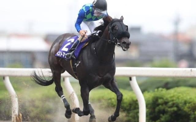 【浦和・プラチナC結果】ベストマッチョが2番手から押し切り人気に応える