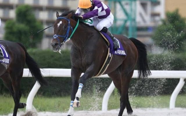 【名古屋・名港盃結果】タガノジーニアスが差し切り重賞初V、兵庫勢のワンツースリー