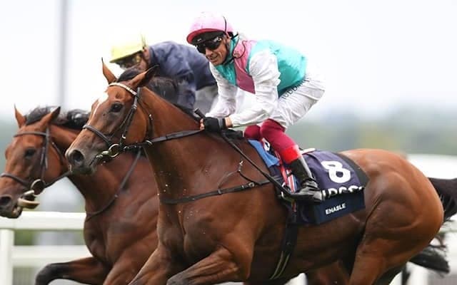 【英・キングジョージ】頭数はさらに減って4頭に、エネイブル以外はオブライエン厩舎