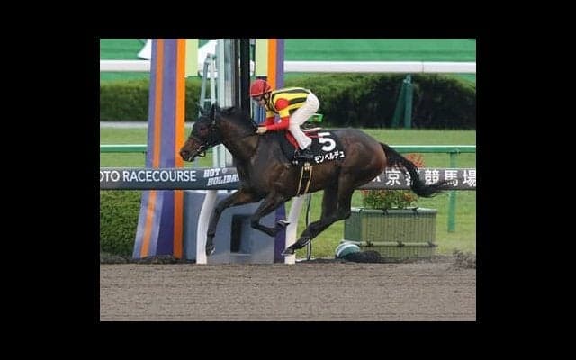 わずか１分で大儲けも。アイビスSDは穴党記者垂涎の４頭が好配当を呼ぶ