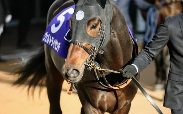 【次走】ダービー3着のヴェルトライゼンデはセントライト記念へ