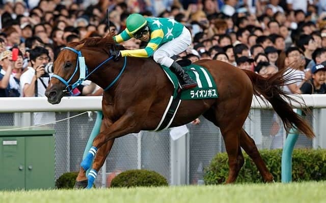 【アイビスSD予想】新潟の千直はなぜ8枠が有利なのか？　コースの歴史を紐解くことで勝ち馬のヒントが見えた!?/JRAレース展望