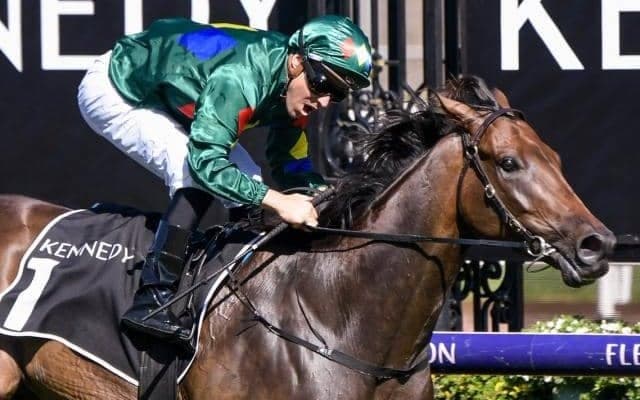 【海外競馬】豪G1馬アリゲーターブラッドが薬物陽性反応で失格に