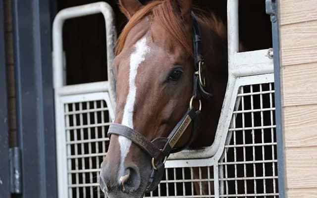 【札幌4R未勝利戦結果】タイセイレジェンド産駒JRA初勝利、10番人気エンペラーズパレスがV