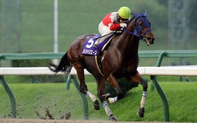 【盛岡・岩鷲賞】プレシャスエースが優勝！