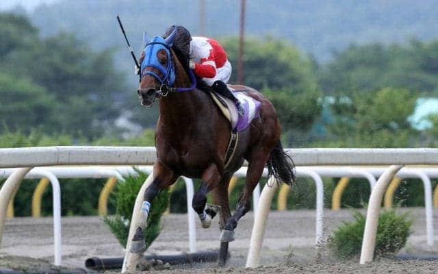 【水沢・栗駒賞】1番人気プレシャスエース号が逃げ切って勝利