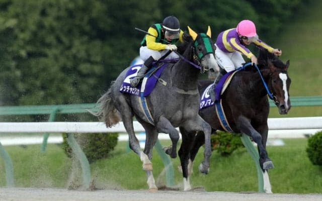 【盛岡・東北優駿】直線鋭く伸びたフレッチャビアンカが岩手のダービー馬の座に