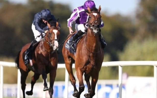 【愛・タタソールズゴールドC】G1・5勝の牝馬マジカルは大外6番枠から連覇に挑む