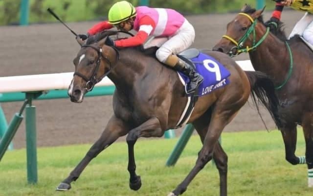 【本日の注目ポイント】新潟で芝千直の電撃戦・アイビスSD、キャリーオーバー中のWIN5にも注目