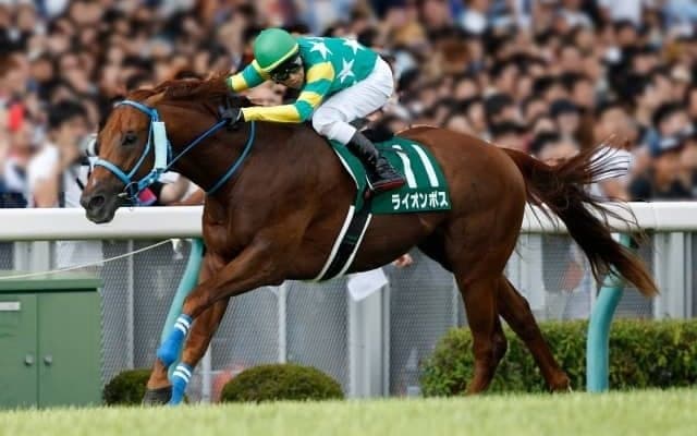 【アイビスSD予想】条件にピタリと当てはまるライオンボス/JRAレース展望