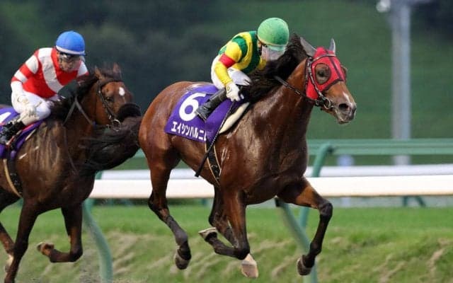 【盛岡・ハヤテスプリント】1番人気に推された岩手・エイシンハルニレ号が優勝