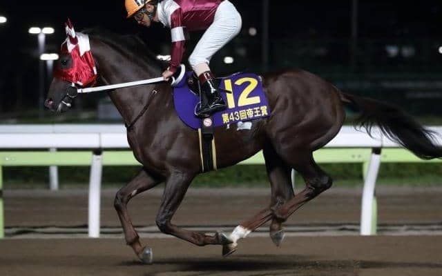 【大井・マイルグランプリ】ヒカリオーソら好メンバーが集結！/レースの見どころ(地方競馬)