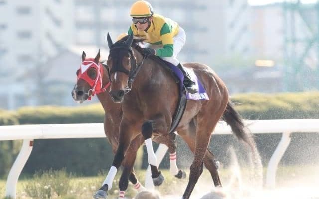 【MRO金賞 枠順確定】ダービー馬が激突！重賞5連勝ニュータウンガール、5戦無敗ハクサンアマゾネスと強豪牝馬に注目