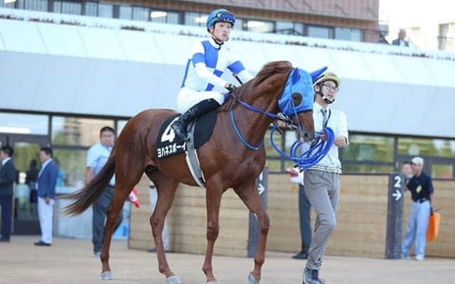 【門別・ブリーダーズゴールドジュニアC】JBC2歳優駿にも直結！ 波乱傾向の2歳重賞で注目すべき伏兵は？