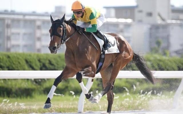 【MRO金賞予想】地元の意地ハクサンアマゾネスか笠松ニュータウンガールか/NARレース展望