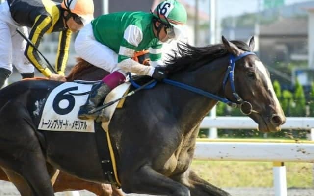 【やまびこ賞予想】少頭数ながら実績上位のピアノマンを巡る熱い戦いに注目!!/NARレース展望