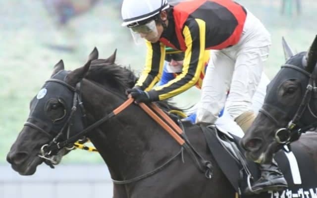【新潟ジャンプS想定騎手】フォイヤーヴェルクは森一馬騎手、メドウラークは北沢伸也騎手