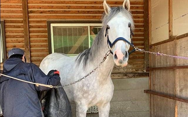 引退馬支援活動を広げるために立ち上がった馬と歴史と未来の会