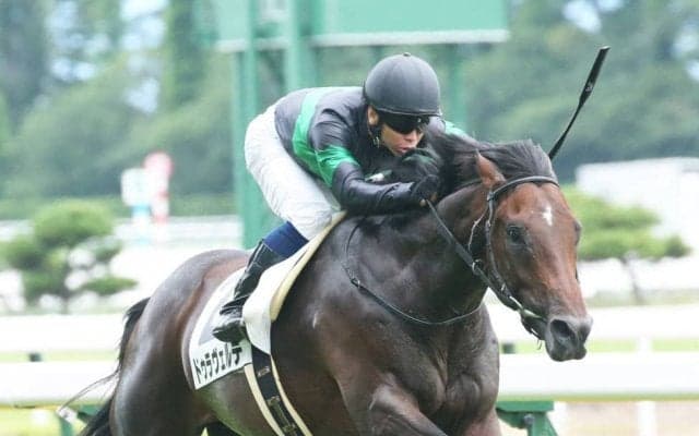 【新馬/新潟5R】ドゥラメンテ産駒 ドゥラヴェルデ3馬身差完勝！
