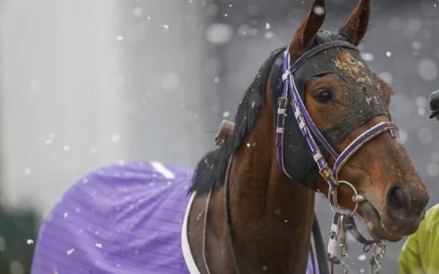 【クイーンS予想オッズ】フェアリーポルカが予想1番人気も混戦模様