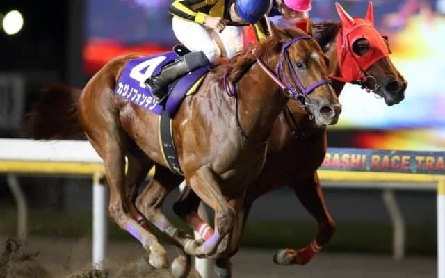 【マイルグランプリ予想】豪華メンバー揃いで激戦必至!!/NARレース展望