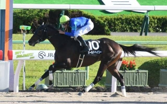 【門別競馬情報】一日最高額をまたまた更新！勢いからは「年間最高更新」も視野!? 今夜メインは混戦必至「エピファネイア・プレミアム」/地方競馬情報