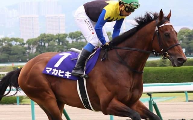 【次走】マカヒキは札幌記念へ、鞍上は岩田康誠騎手