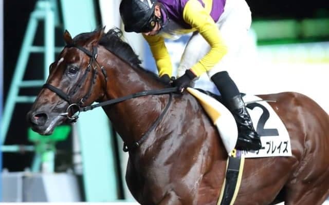 【東京記念TR】2.6秒大差勝ちのホーリーブレイズは順調なら東京記念へ　福永敏師「ビックリしました」