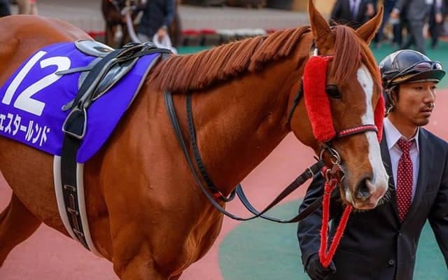 【エルムS想定】エアスピネル、タイムフライヤー、ウェスタールンドなど実績馬集う