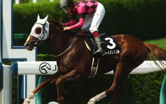 【新潟ジャンプS】ブラックワンダー・ウインリベロらが抽選突破