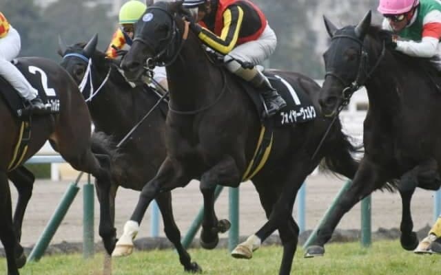 【新潟ジャンプS出走馬・騎手確定】フォイヤーヴェルク＆森一馬騎手、メドウラーク＆北沢伸也騎手など14頭