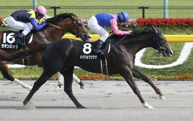 【門別競馬情報】JRAオープン3勝馬メイショウウタゲ、田中淳司厩舎で復活なるか！大注目の転入初戦「優駿の里安平町道の駅あびら特別」/地方競馬情報