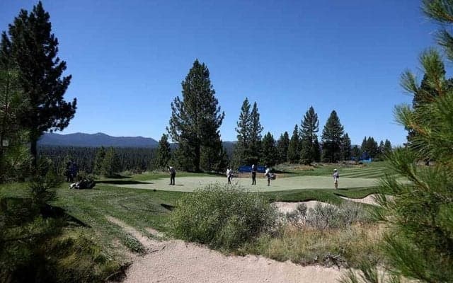 米ゴルフで熊出没！　無観客コースに“珍客”で中断の事態　米驚愕「凶暴な動物だ！」