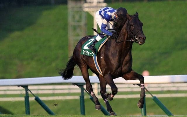 【盛岡・せきれい賞】兵庫所属アップクォーク号が優勝！