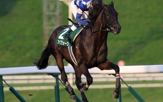 【盛岡・せきれい賞結果】アップクォークが6馬身差圧勝で重賞初制覇