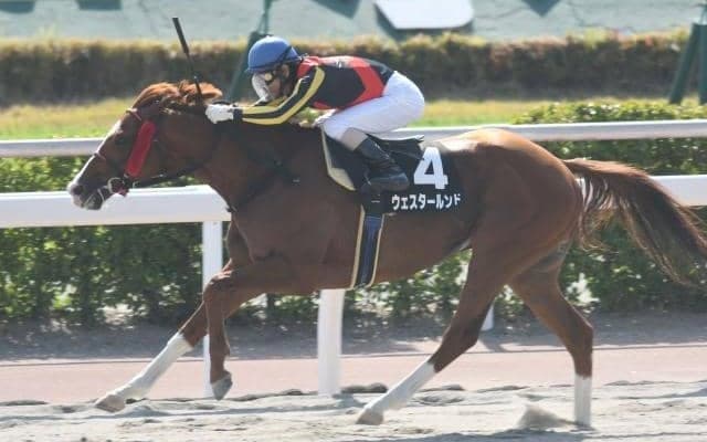 ダートGIIIエルムS＆レパードSに注目/今週の競馬界の見どころ